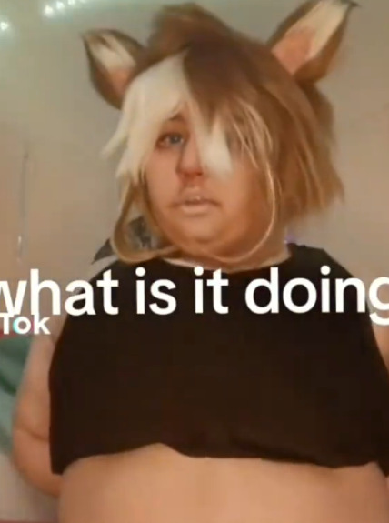 Tumblr media