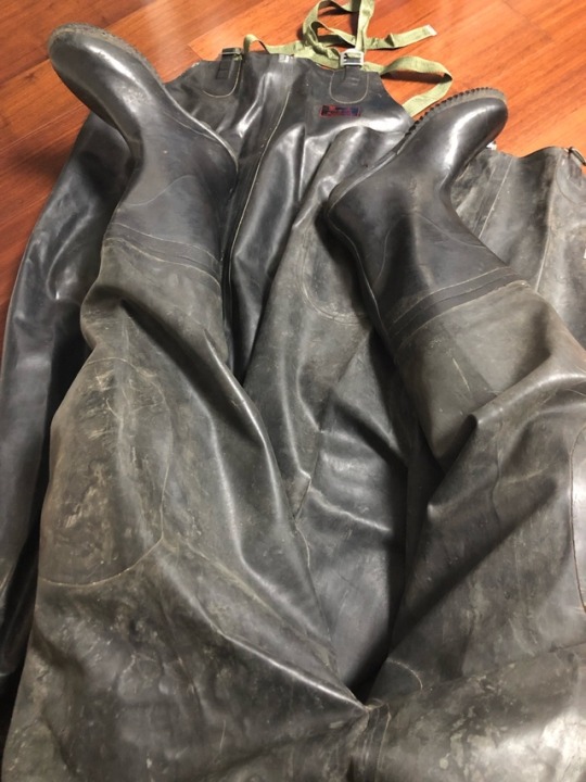 heavyrubbermaster:    Emmm 