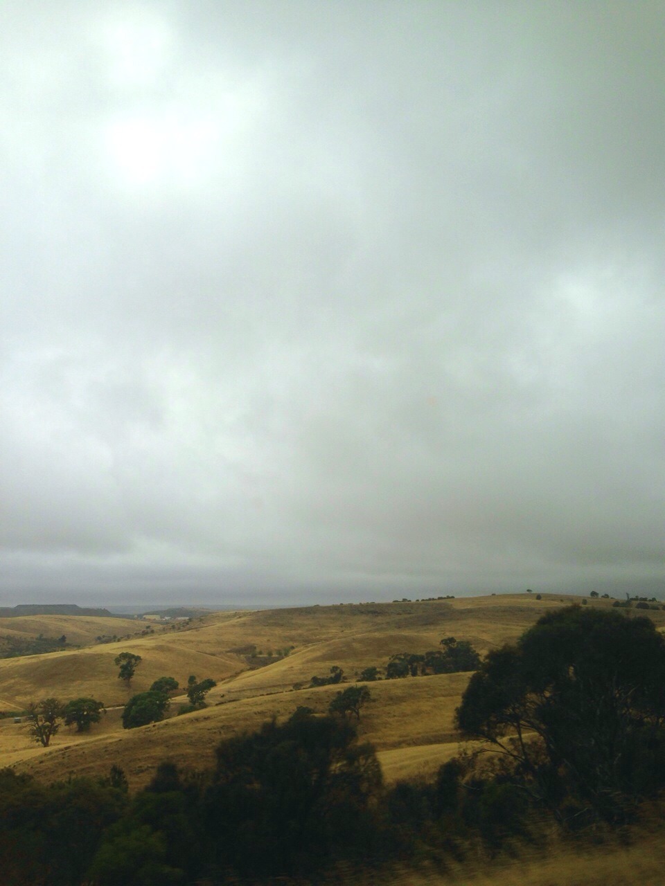 infauna:  The weather in this country is so weird. There’s bushfires everywhere,