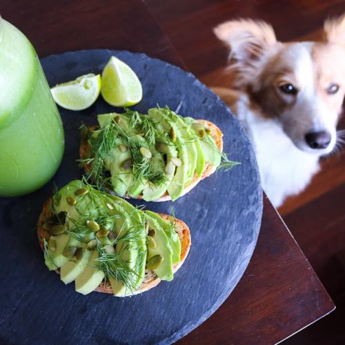 Do breakfast right #avolove #feelinggreen