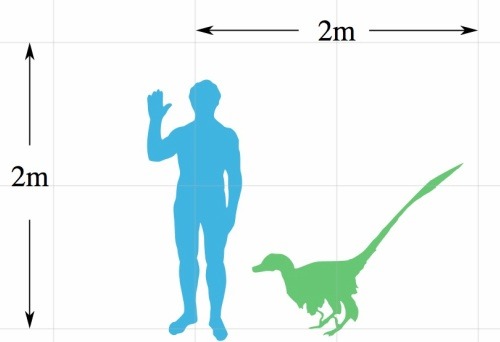 UTAHRAPTORS ARE COOLER