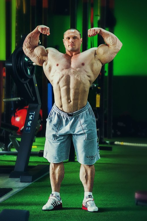 massivemusclestuds: Arkady Velichko1,74m 115kg  /  5'8.5" 253lbs