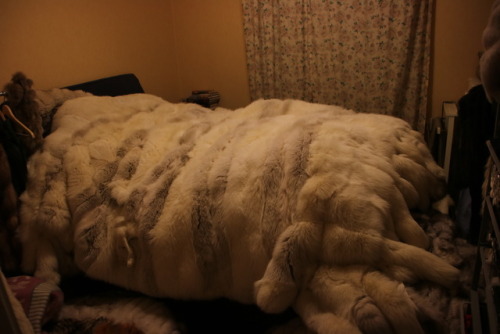 swedfur: My new fox fur blanket. It’s doublesided, one side white fox/lynx with tails, The oth