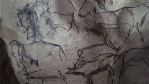 Replicas of paintings in the Chauvet Cave (France).  They date backaround 31,000 years, from the Aur