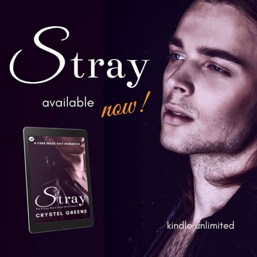STRAY is out today! bit.ly/StrayOnAmazon When Aryn offers Trae money for posing as his mate for a ni