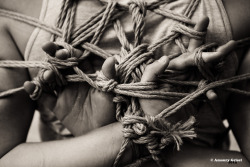 amaury-grisel-shibari: the tree shibari and photo by Amaury Grisel 