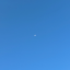 betlogarithm