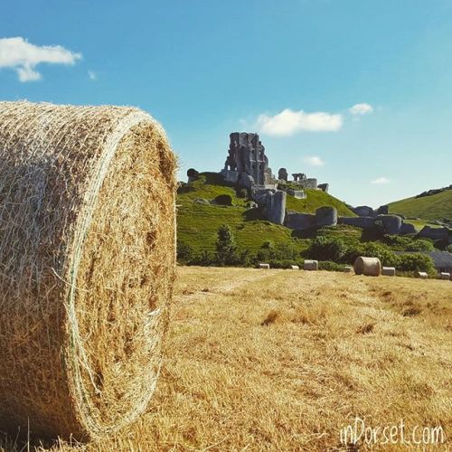 indorsetuk: Hay bales and an old favourite… it’s that time of year, the sweet smell of 