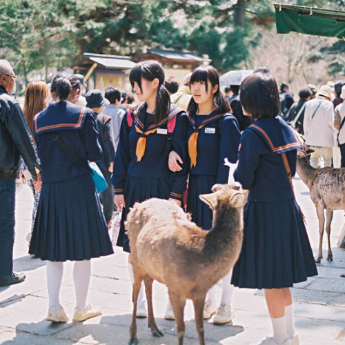 Nara, Japan