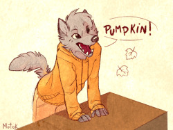 thegalaxyfoxx:  http://motok-wolf.tumblr.com/post/97432610463/all-this-autumn-colors-put-me-in-a-good-mood   Cute c: