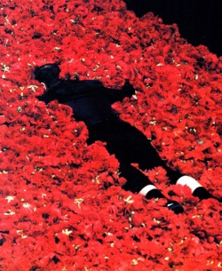 vvolare:  &ldquo;Der Fensterputzer,&rdquo; consists of a 20-foot-high hill of red silk flowers in a corner. Pina Bausch - 2012