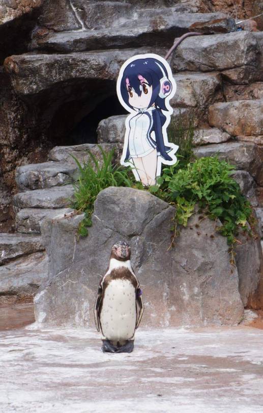 Grape-kun Left Our World Two Years Ago, But He Has Not Left Our Hearts.
