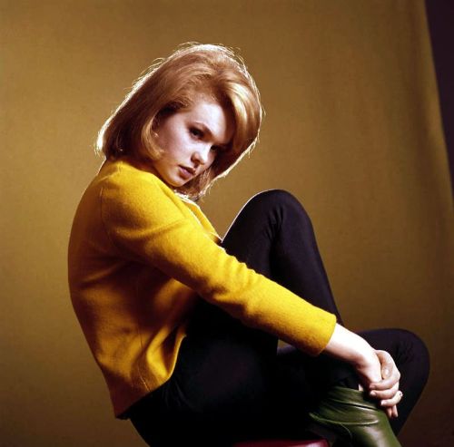 Joey Heatherton in a publicity still for “Where Love Has Gone”.  Ca. 1964 - photographer unknown.