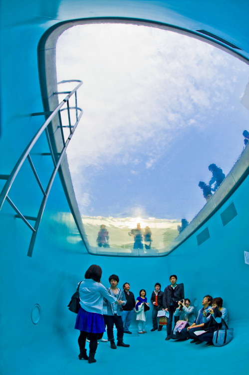 Leandro Erlich (Argentine, b. 1973, Buenos Aires, Argentina) - Swimming Pool; A Permanent Installati