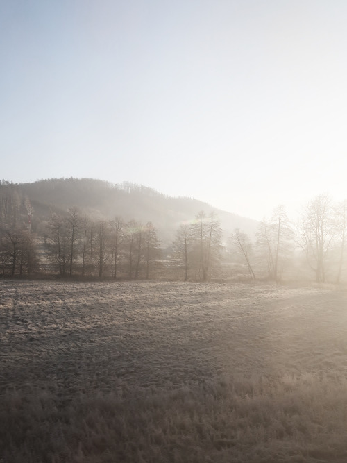 Krajina / Landscape, 31. 12. 2020