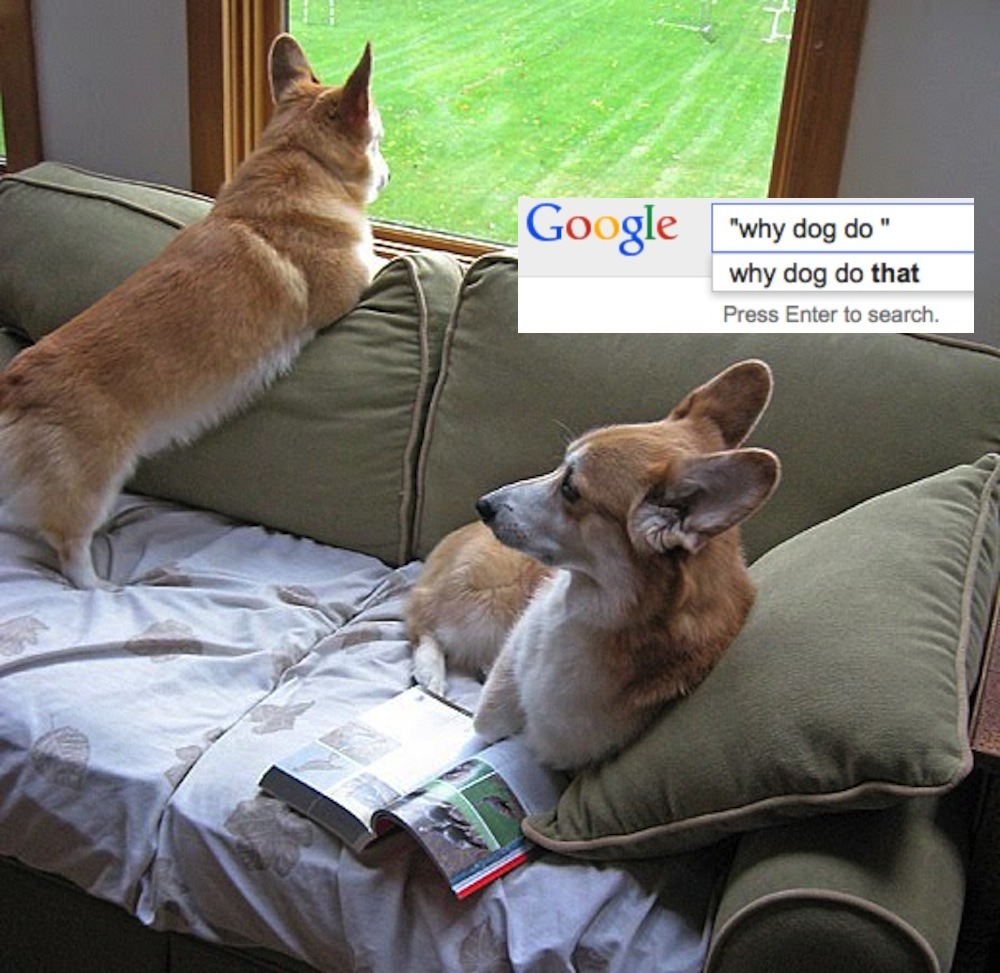 machetecorgez:  a-lotte:  I got on google and found a bunch of incredible search