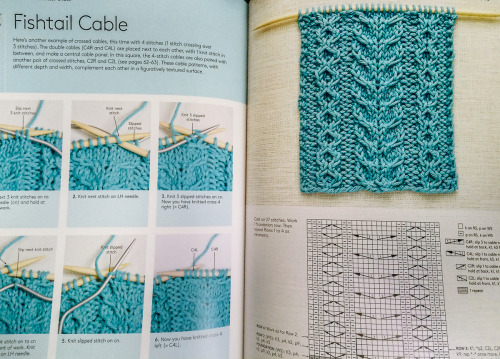 Learn How to Knit with 50 Squares
For Beginners and Up, a Unique Approach to Learning to Knit
• Paperback: 144 pages
• Publisher: St. Martin’s Griffin (February 16, 2016)
• Language: English
• ISBN-10: 1250069955
My first knit book is here! :D
Learn...