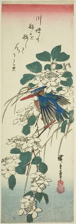 aic-asian: Kingfisher and viburnum, Utagawa Hiroshige, 1840, Art Institute of Chicago: Asian ArtClar