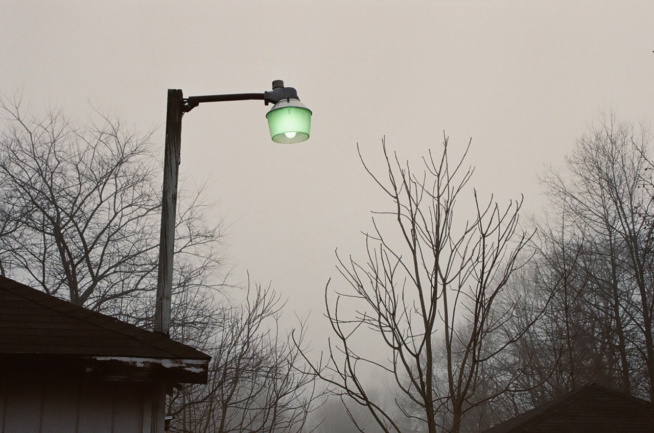 blobdylan:from a foggy february first2/1/2020