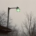 blobdylan:from a foggy february first2/1/2020
