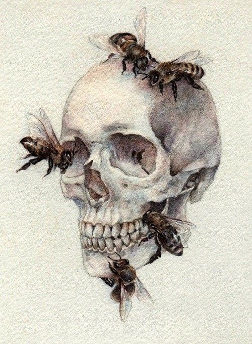 thegentlemanwitch:The Artistic Allure Of The Human Skull