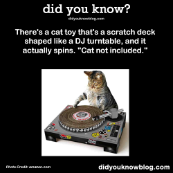 did-you-kno:  There’s a cat toy that’s a scratch deck shaped like a DJ turntable, and it actually spins.  “Cat not included.”  Source