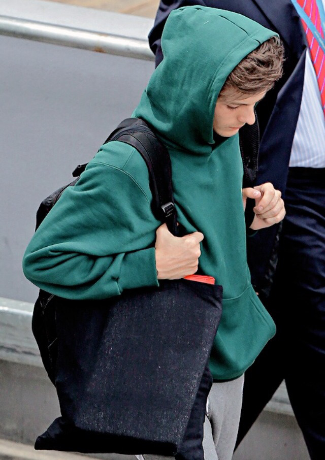 louis tomlinson adidas hoodie