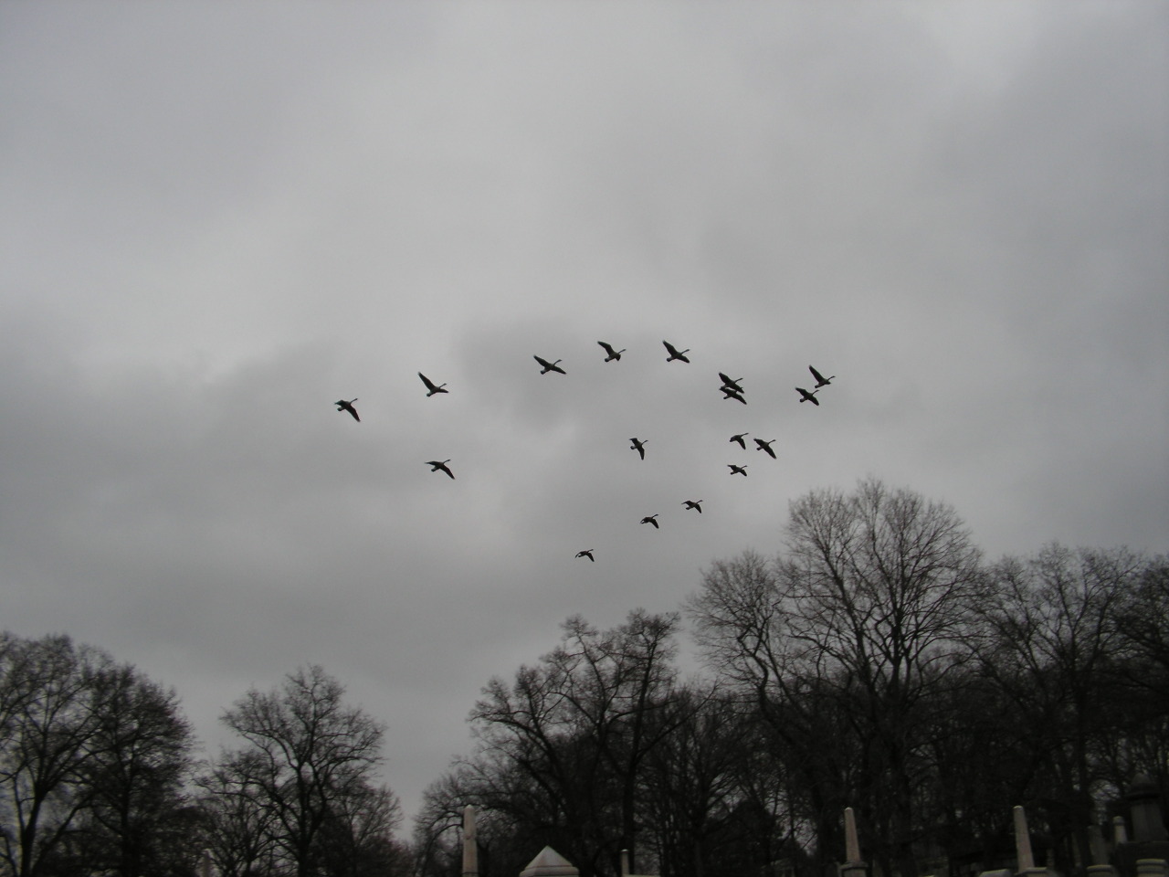 grrg63heavenonearth:  Allegheny Cemetery 12-3-14-1