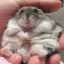 markywuu