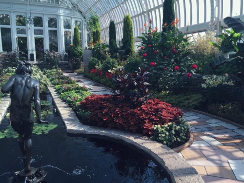 mercuitio: como park conservatory - saint paul