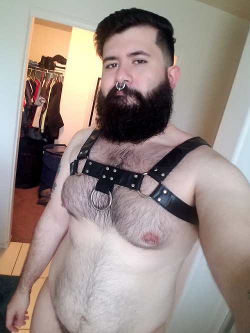 TheMoreYouIgnoreMeThePudgierIGet