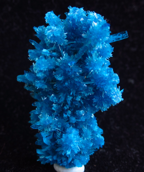 Pentagonite - Wagholi Quarry, Pune (Poonah), Maharashtra, India