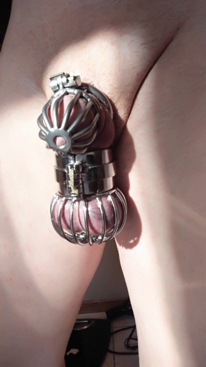 show-us-your-locked-cock:Let out of my Evotion 3D chastity for some photos with matching ball stretcher/punisher. Under the band that locks the weight on my balls there are 6 punishment spikes doing their thing. When locked on, it is impossible to remove