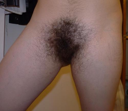 http://velter1.tumblr.com/post/101280224647