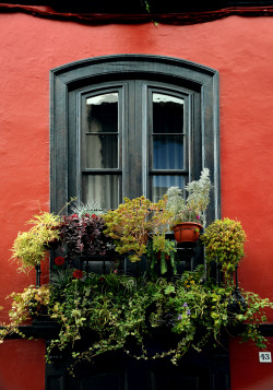 b-no-photo-stuff:  - The Balcony - Santa Cruz de La Palma -2016 - -