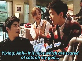 elaysium:  Brain teasers - 2 Yixing - 0 (part 2) 