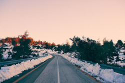 grett:  Snow, Road &amp; Trees [2] by ozbarak on Flickr. 