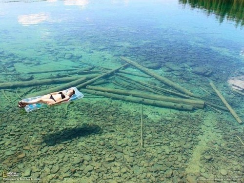 runyouclevrboyandremember:The water at Flathead Lake, Montana is so clear