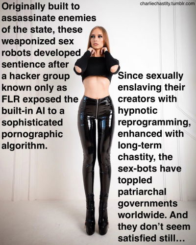Originally built to assassinate enemies of the state, these weaponized sex robots