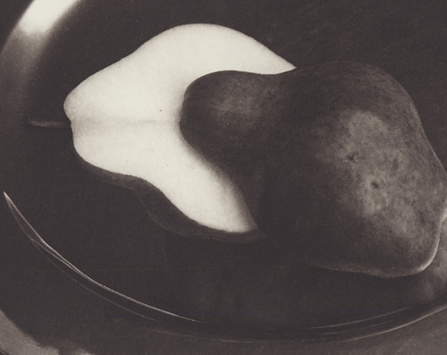 Machiko Kurita Still Life, Two Pears, 1999 Scott Nichols Gallery: East Meets West  (D