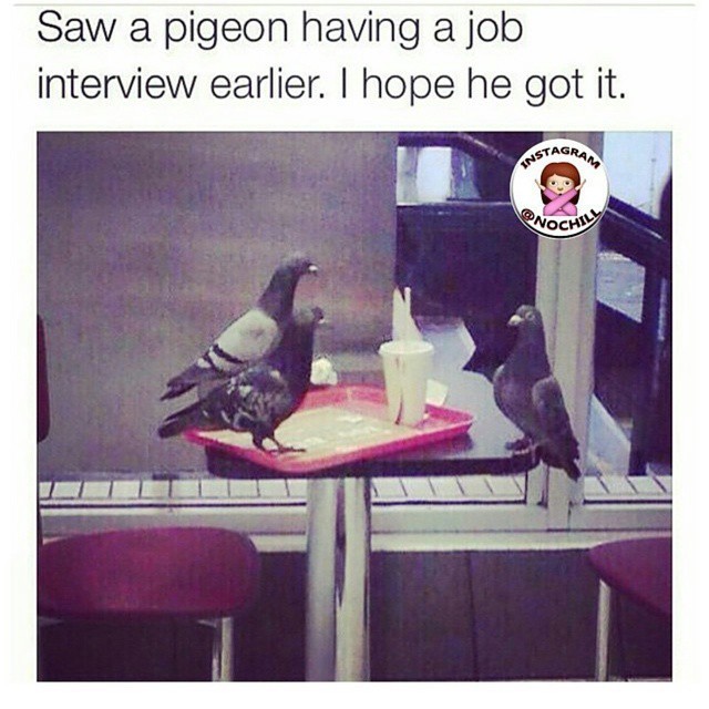 plotprincessss:  Lmaaoooo
