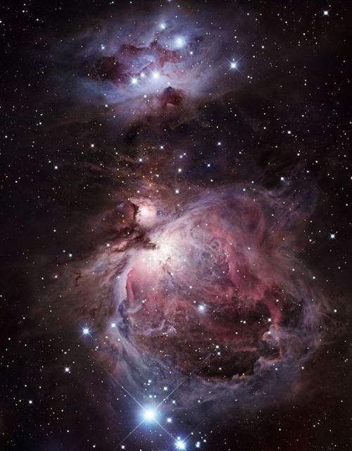 Stardust Orion