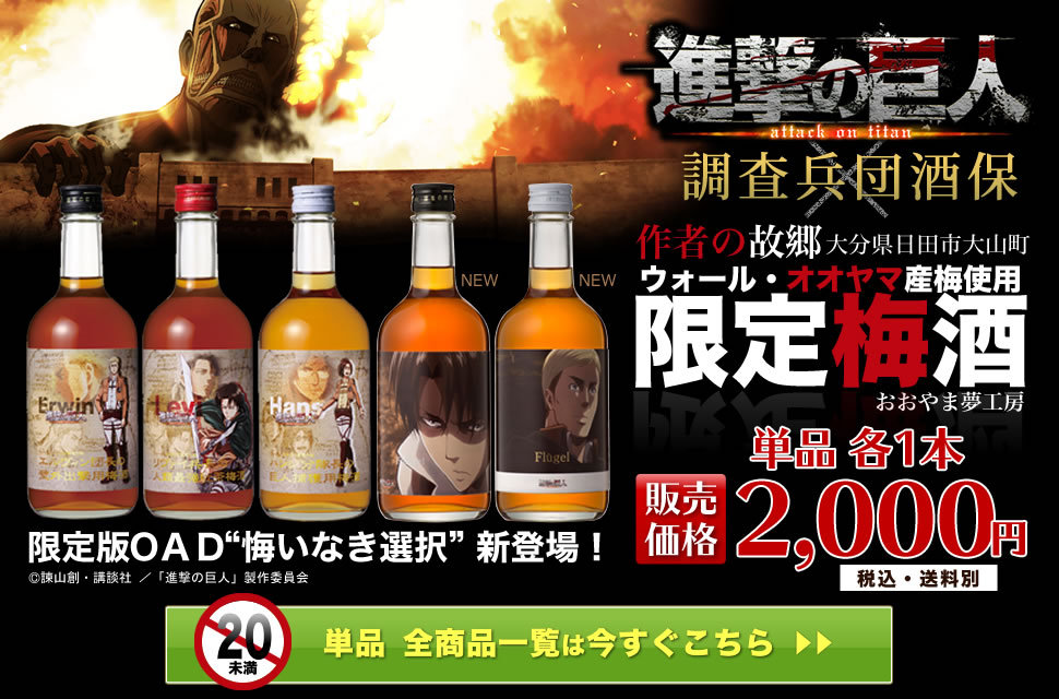 Hibiki no Sato has finally released the previously announced new set of Shingeki