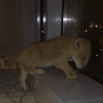 blessedbylight: blessedbylight