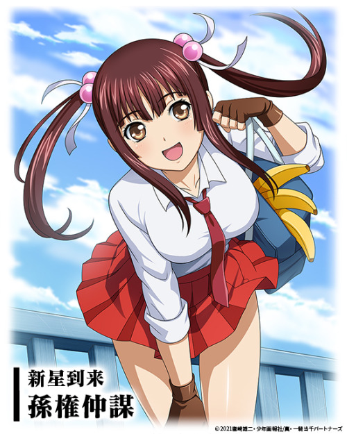 shin ikkitousen