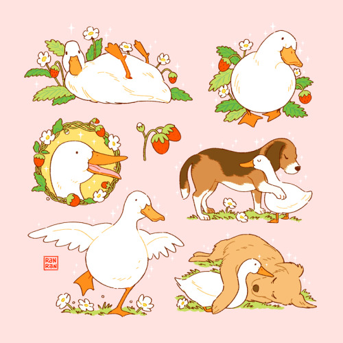ranpanda:   Have some cheerful ducks in these uncertain times everyone   🦆   🍓   ✨     Prints Available Here 🌼 