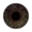 mizaska:was browsing trough half life 2s texture files and i thought these eye textures could help a
