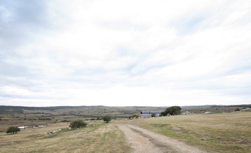 rctarc: Calera del Rey, Pan de Azucar - Gualano &amp; Gualanowww.gualano.com.uy/