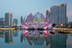 designboom:  the lotus building by studio505 blooms in wujin, chinaimage © john gollings get the full story of the inhabitable sculpture here. 