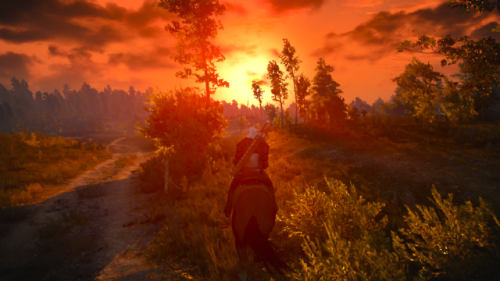I finally bought The Witcher III recently. I understand all the hype that still surrounds it.